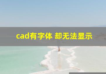 cad有字体 却无法显示